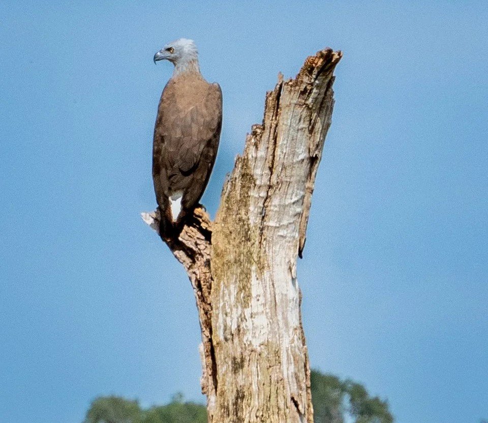 Kaudulla National Park