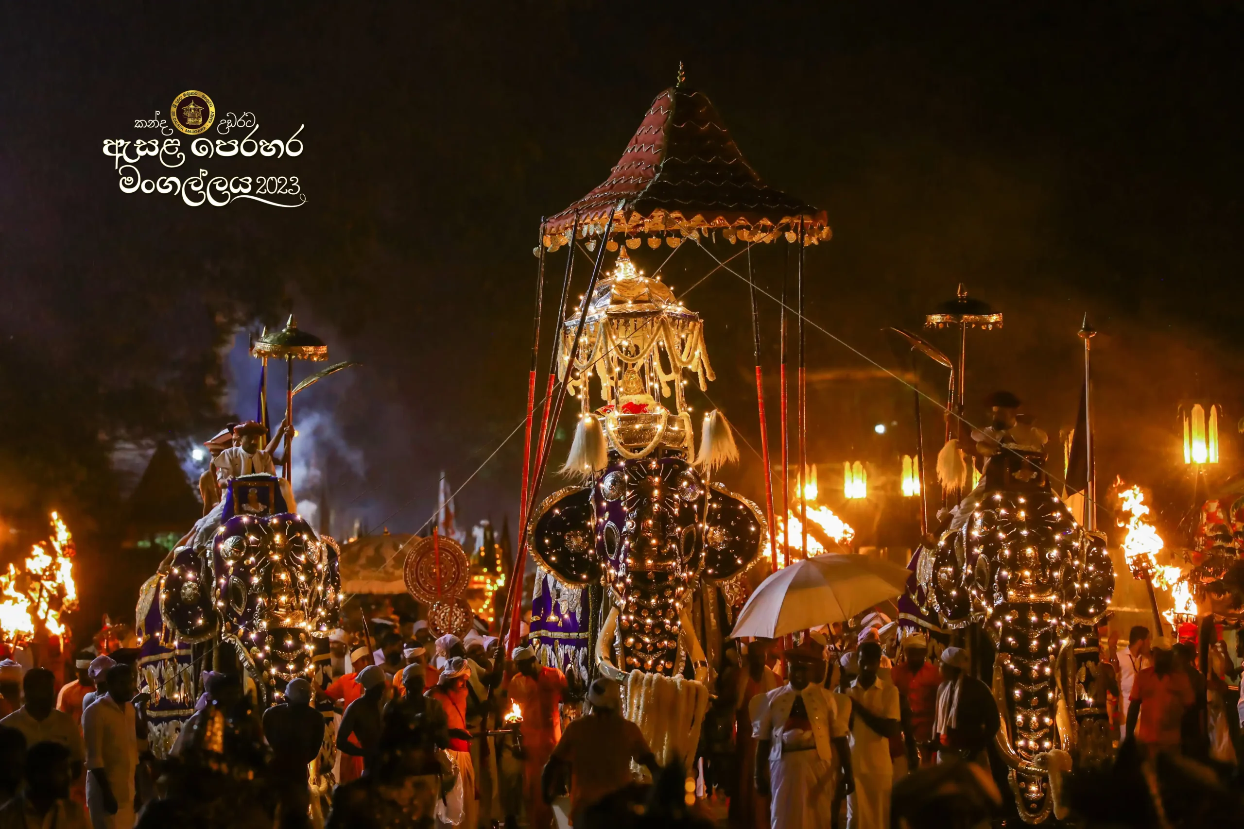kandy esala perahera elephants tooth relic