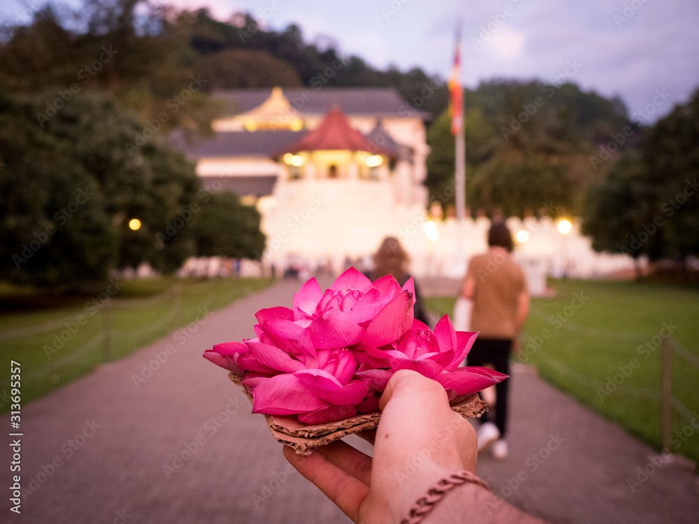 temple of tooth Ceremony2